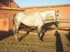 fotillos8 028.jpg