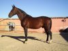 fotillos4 016.jpg