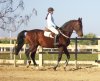 fotillos6 040.jpg