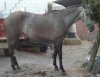 fotos movil 012.jpg
