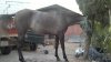 fotos movil 013.jpg