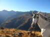 rutascaballoguejar5.jpg rutascaballoguejar5.jpg