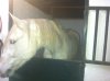 IMG_0290.jpg IMG_0290.jpg