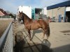 DSC01079.jpg