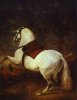 velazquez260lg2xi.jpg