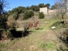 llegandoalaentradadelpa.jpg