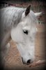 DSC02751.jpg