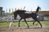 DSC_0185.jpg