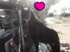 J love it.jpg
