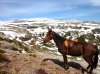 Galera en la montaña.jpg