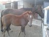 2011-07-19 20.40.12#1.jpg