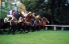 caballos0030.jpg