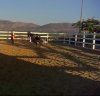 Sin título-5.jpg