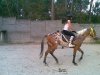 10092009005.jpg 10092009005.jpg