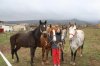 CABALLOS 075.jpg