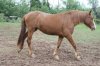 abril 2011 022.jpg