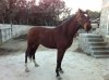 mayo 2011 001.jpg