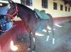 mayo 2011 003.jpg