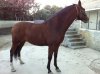 mayo 2011 002.jpg