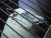 DSCN1407.jpg