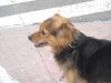 DSCN1787.jpg