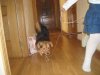DSCN1972.jpg