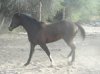 217DSC00455.JPG