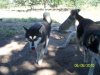 102_1023.jpg