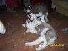 102_1261.jpg