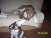 102_1225.jpg