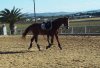 100_0112.jpg