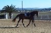 100_0113.jpg
