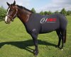 traje-caballo.jpg