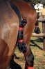 Polo knot.jpg