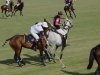 Polo knot2.jpg
