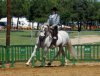 DSCN8935.jpg DSCN8935.jpg