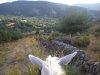 dscn9198.jpg