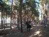 dscn9235.jpg