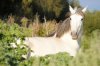 DSC_0065.jpg