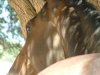 DSCF2727.jpg