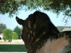 DSCF2738.jpg