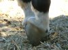 DSCF2747.jpg