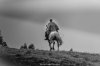 Galicia 2012 early.jpg