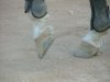 DSCF3171.jpg