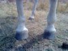 DSC00166.jpg
