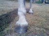 DSC00168.jpg