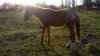 2012-09-01_17-49-58_903.jpg