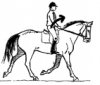 rising-trot-up.jpg