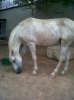 IMG00599-20120902-1754.jpg