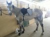 20130103_154258.jpg
